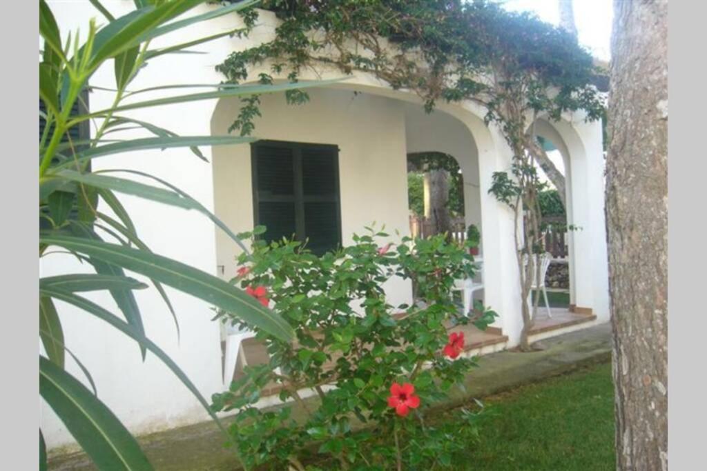 Apartment With Garden And Swimming And Beach Кала-Бланка Екстер'єр фото